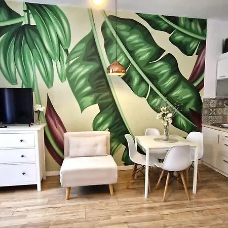Apartament Cozy Modern In Old Town *