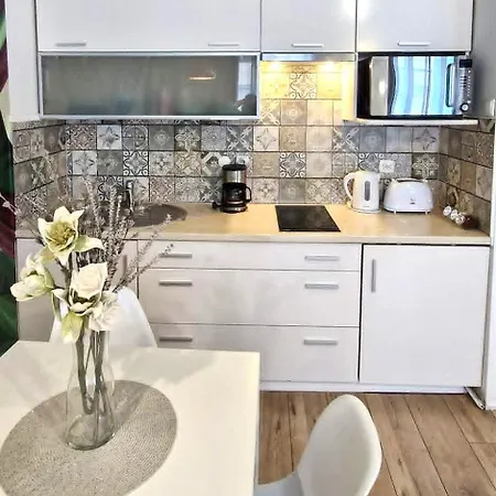 Cozy Modern In Old Town * Kraków